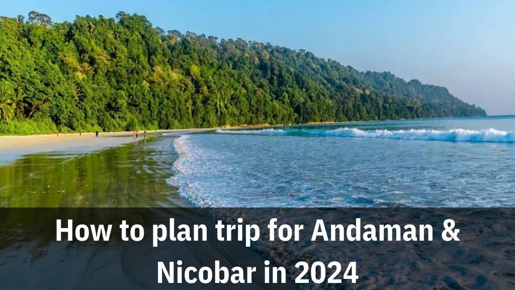 How to plan trip for Andaman & Nicobar in 2024 Best time to visit Andaman